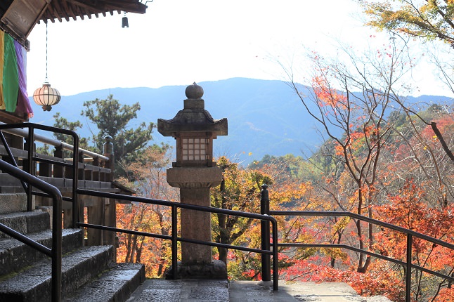 本堂からの景色
