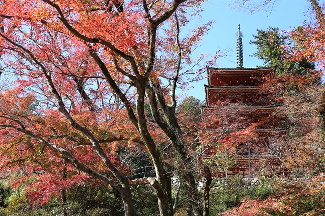 五重塔と紅葉