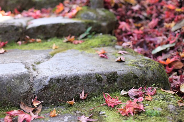 石段と紅葉